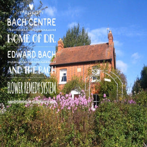 Bach Flower Consultations for Pets and Animals
