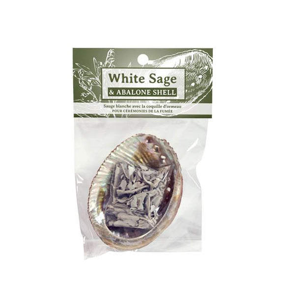 Resin Incense – White Sage and Abalone Shell Set