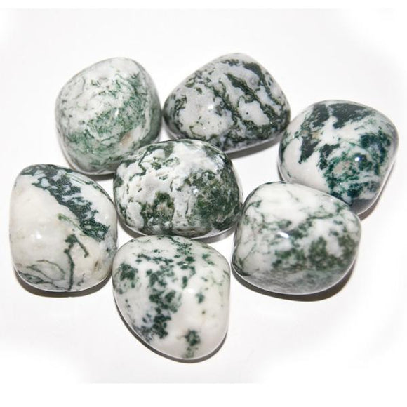 Tumbled Stone – Tree Agate – Reiki Infused