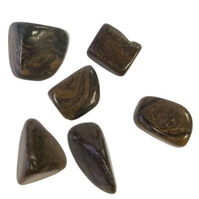 Tumbled Stone – Stromatalite – Reiki Infused